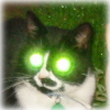 Cat Dictionary: radioactive eyes